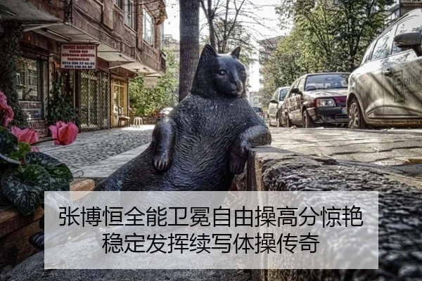 张博恒全能卫冕自由操高分惊艳 稳定发挥续写体操传奇